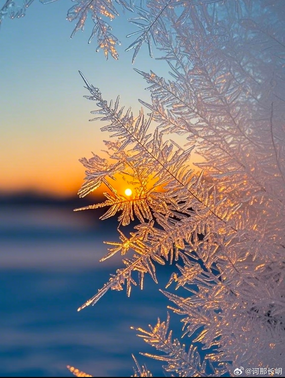 早安，冬日的早晨，阳光穿透冰霜，温暖而明亮。 