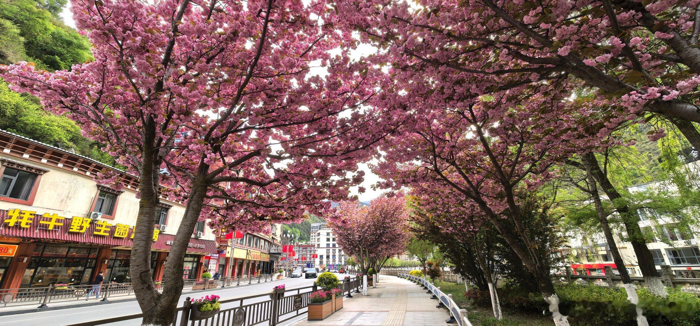 此刻  美丽的康定四川省甘孜藏族自治州康定市 