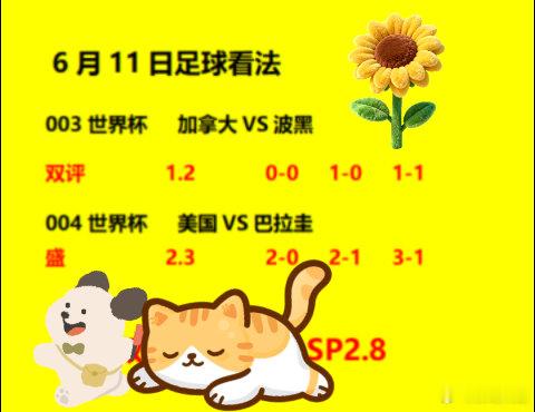 6月12号，美加墨世界杯加拿大vs波黑美国vs巴拉圭你更看好谁美加墨世界杯加拿大