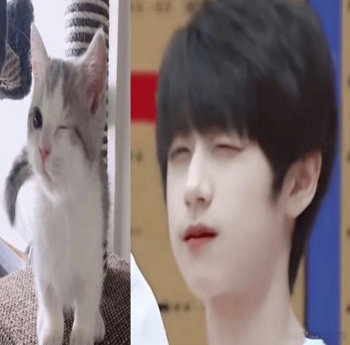 完全萌宝 完全睡不醒 朋友圈的背景可以一天一换了