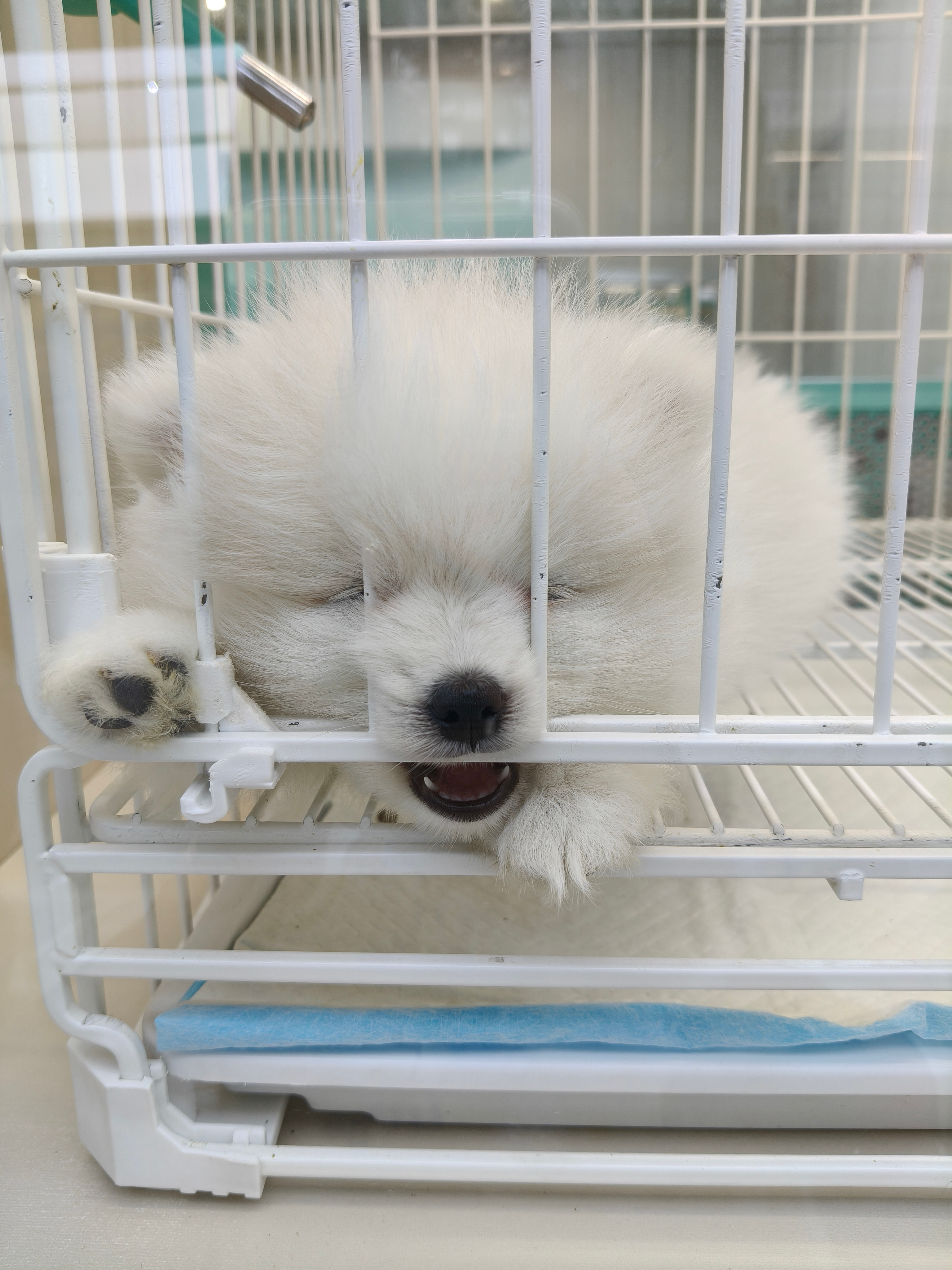 哈喽 
