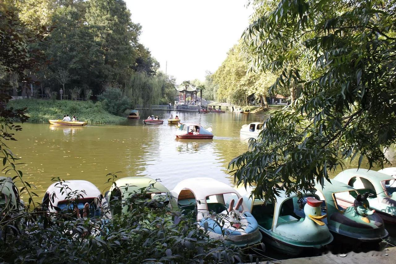 分享一组盐城人民公园没改版之前的旧模样😊
那时候动物园需要单独买票，满满的回忆