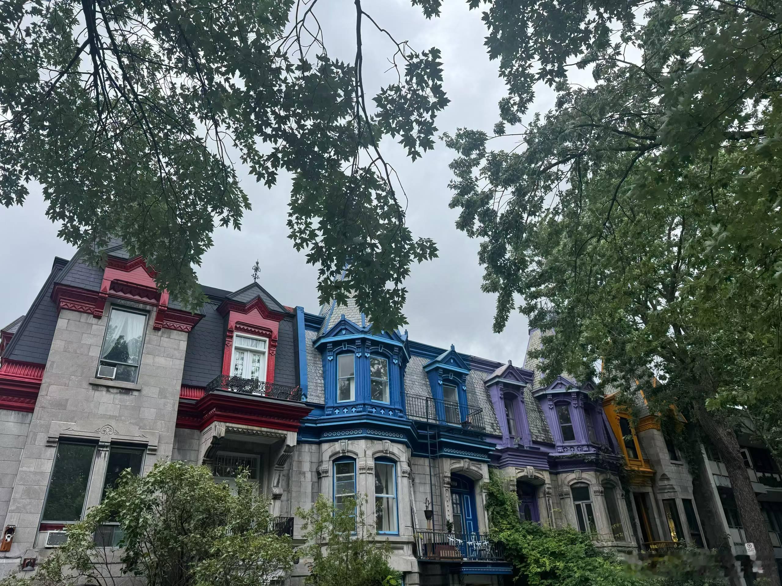 我真的是孤陋寡闻，蒙特利尔是这次旅游才知道的城市，麦吉尔大学也是才知道的大学，居