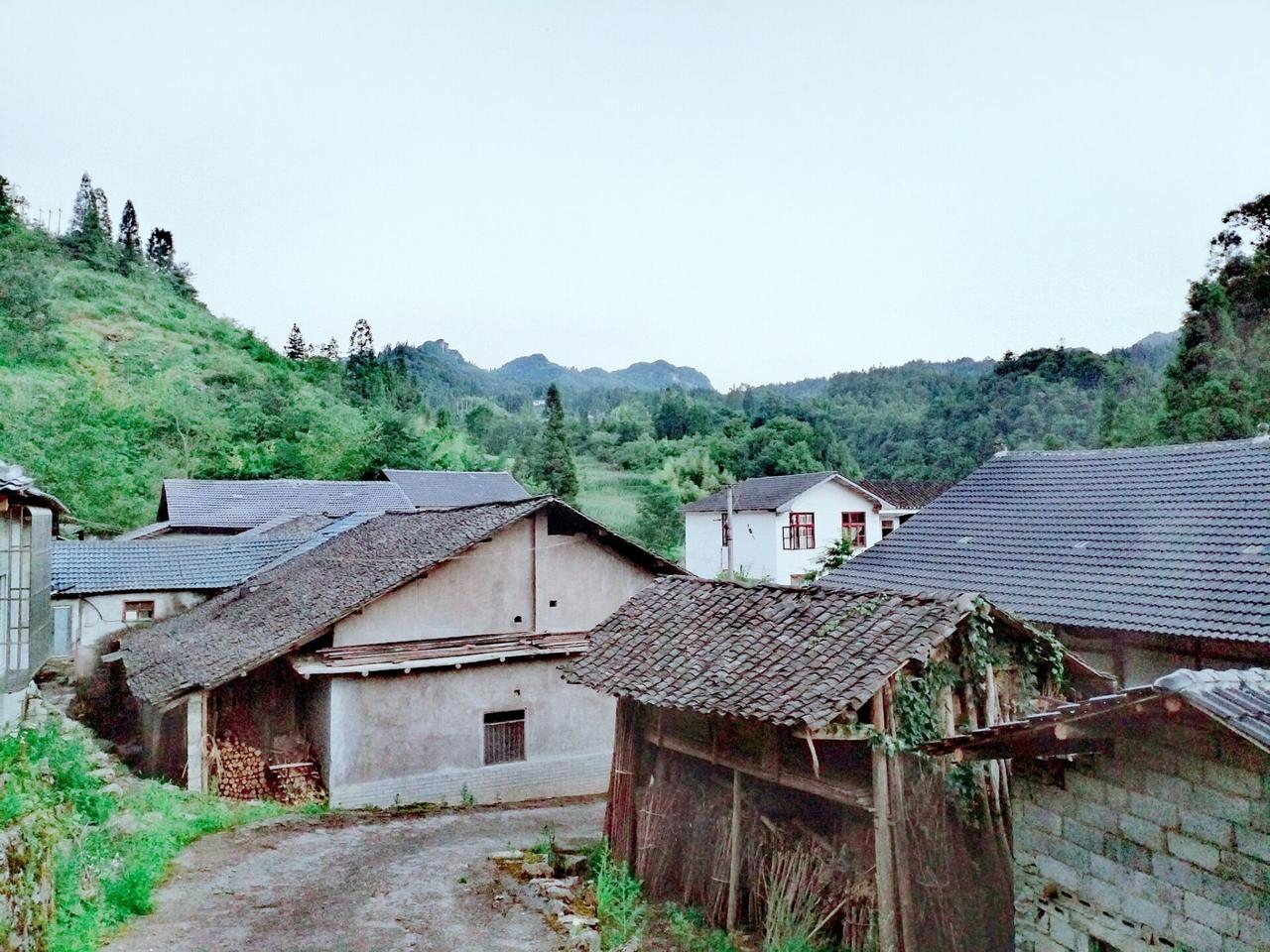 草坝位于重庆市南川区东南角，是渝黔边界上的一个小场集，清代就已形成，在这片多山的