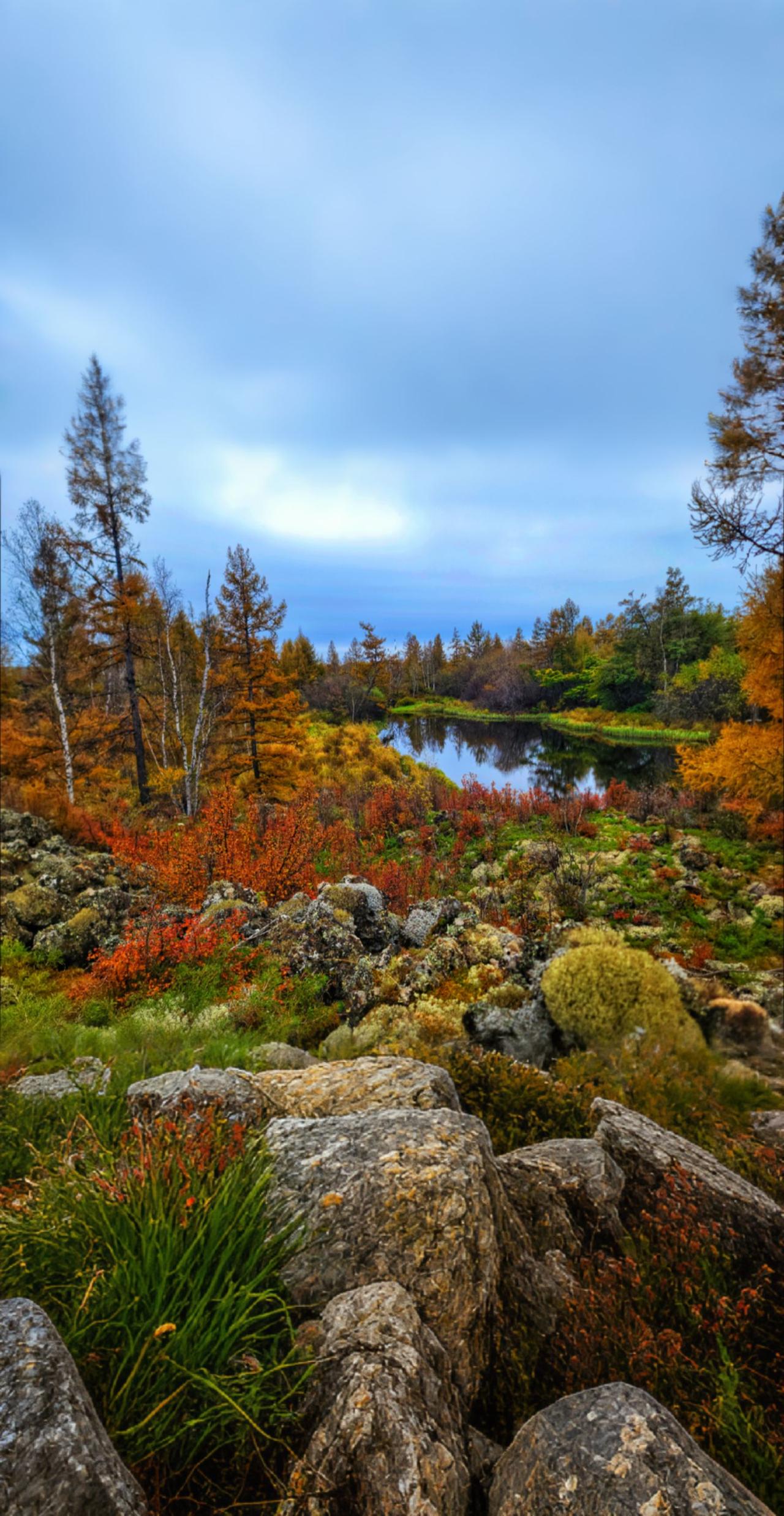 #AI扩图 阿尔山景区#是谁发现了秋天的美景