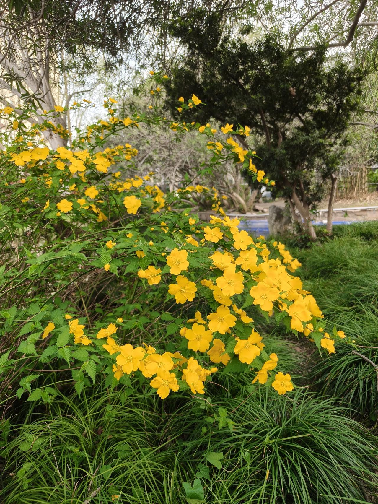 春风和煦，香暖寻常

万千季风，唯有春风可以吹开花朵 吹绿枝桠，吹走寒凉，香暖寻