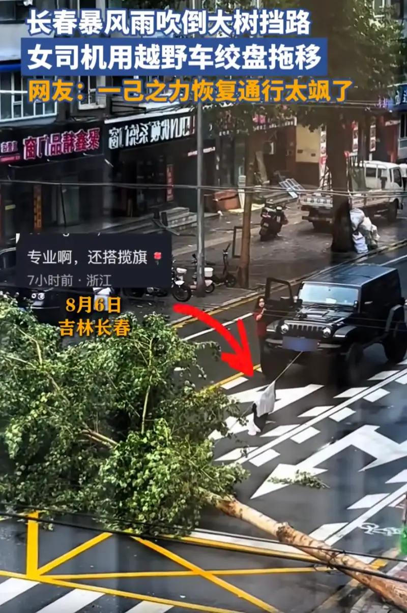 吉林长春，一场强降雨过境，路边一棵大树被吹断，笔直横堵在城市主干道正中。粗壮的树