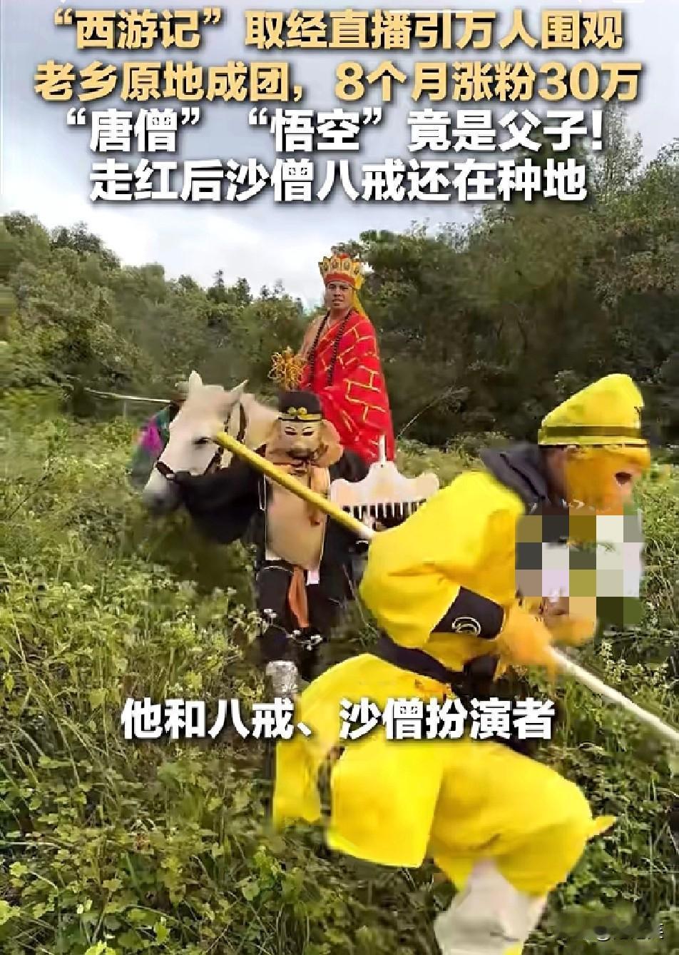 太牛了！

广西一群80后老乡的

“西游记取经直播”火出圈了

师徒四人爬山下