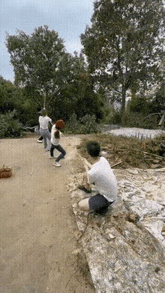 老人哄孩子，真是让人不放心，明明看见这么多人正在拉这棵树，他就视而不见，也没有意