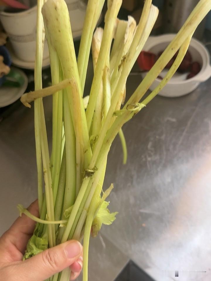 俺门口小超市给我送来的芹菜，我要不要给他送去？
就这么个做法咱就说他这生意能行？