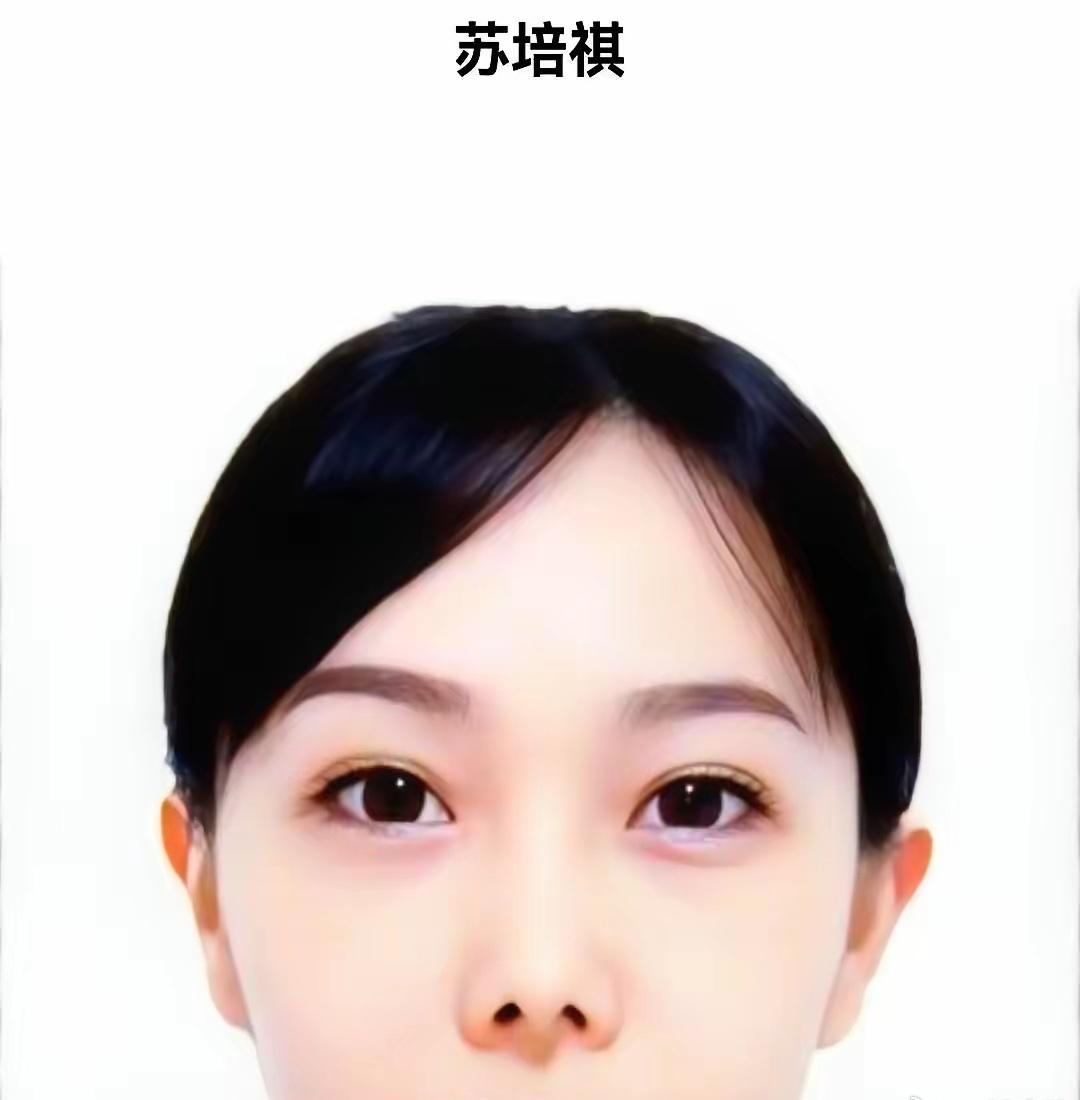 有句话叫“没编制，就不用太拼命”。
平南刑侦大队，一个94年的辅警姑娘苏培祺走了