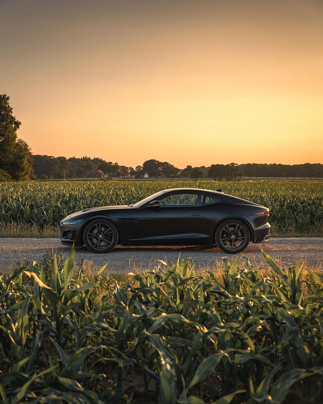 捷豹 F-Type ​​​