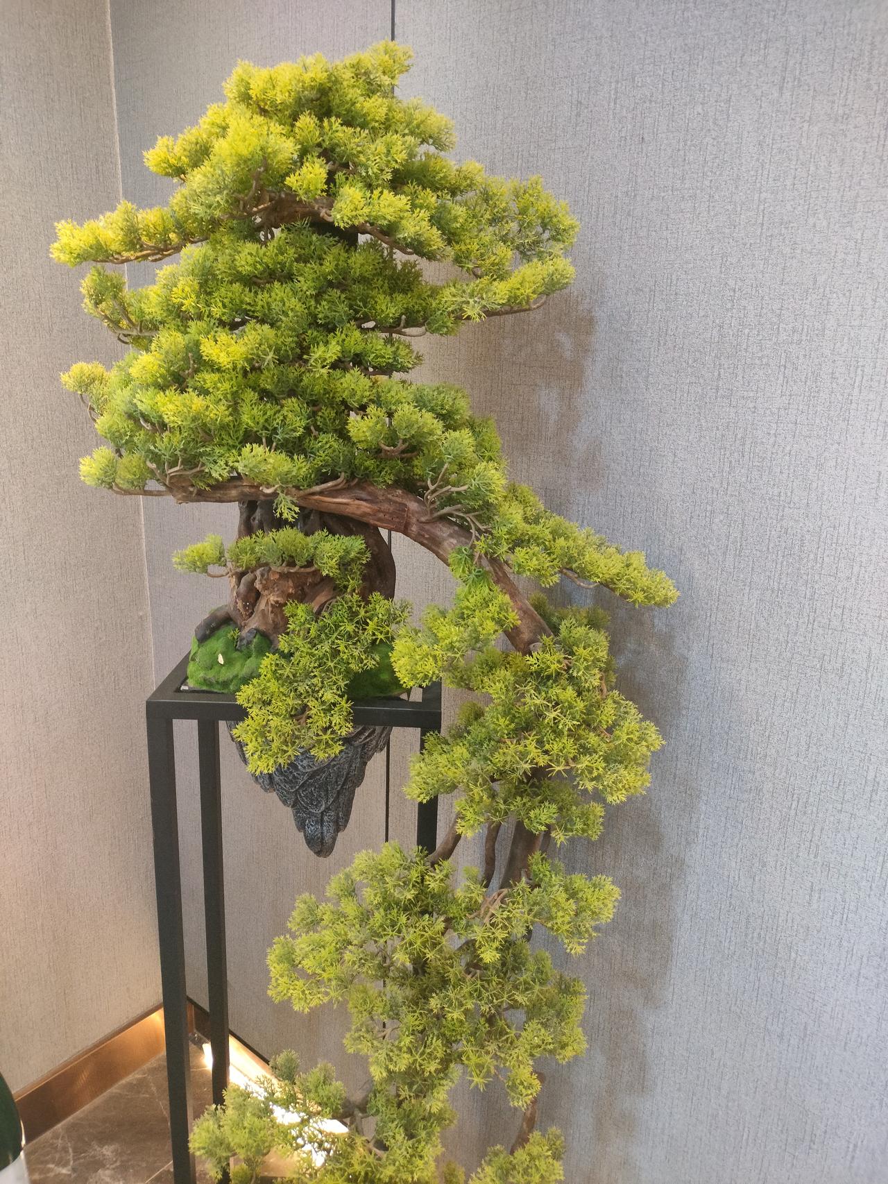 万万没想到，停电一天，恢复以前聊天状态，也不失眠了。
前天夜里下了一夜的暴雨，导