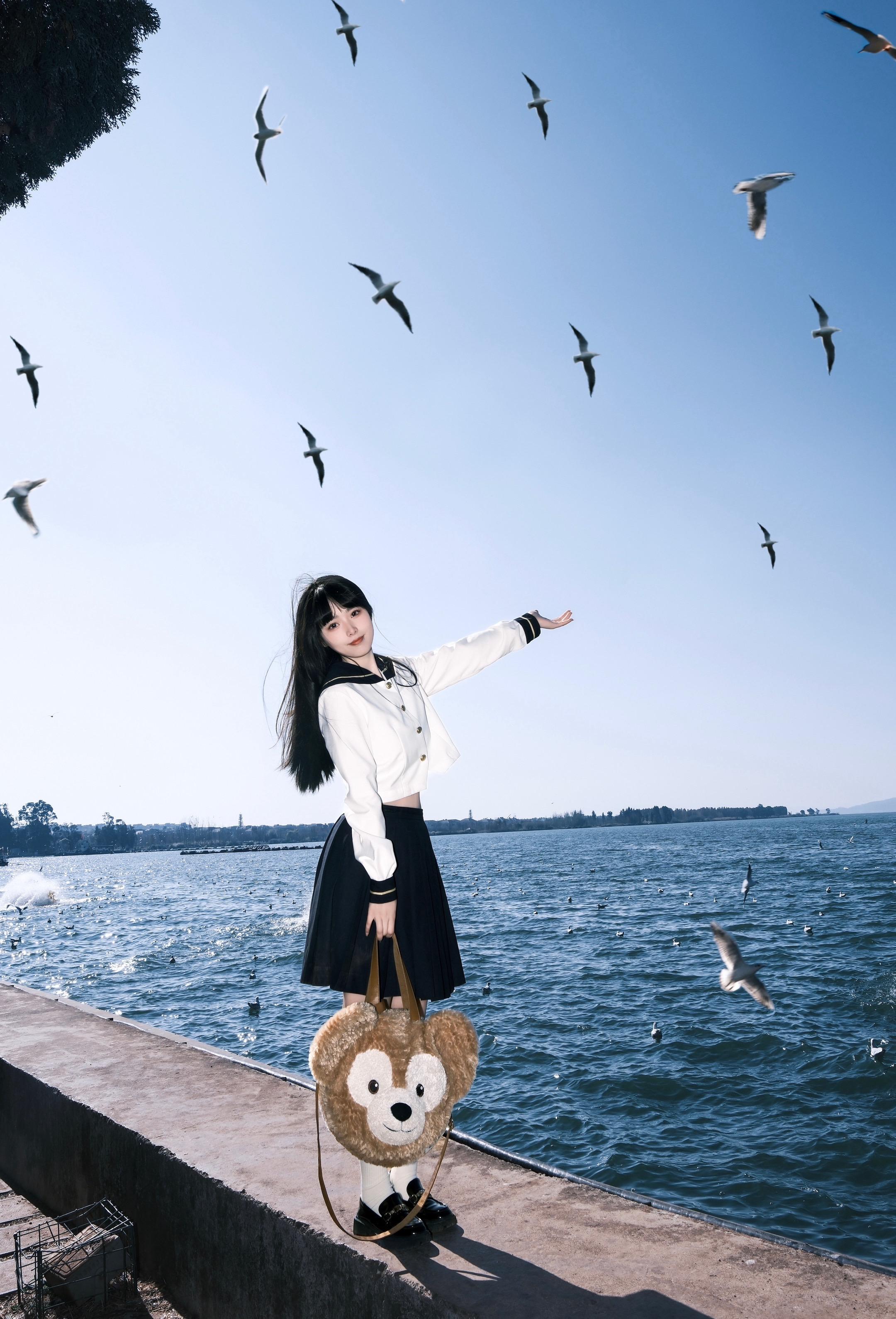 海鸥不再眷恋大海🕊️