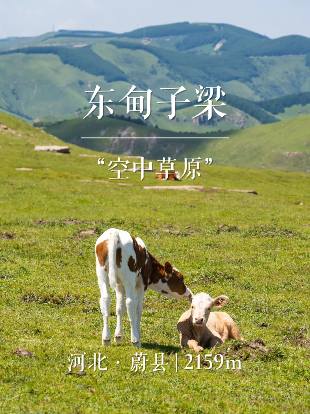 “空中草原”东甸子梁 | 华北名山系列