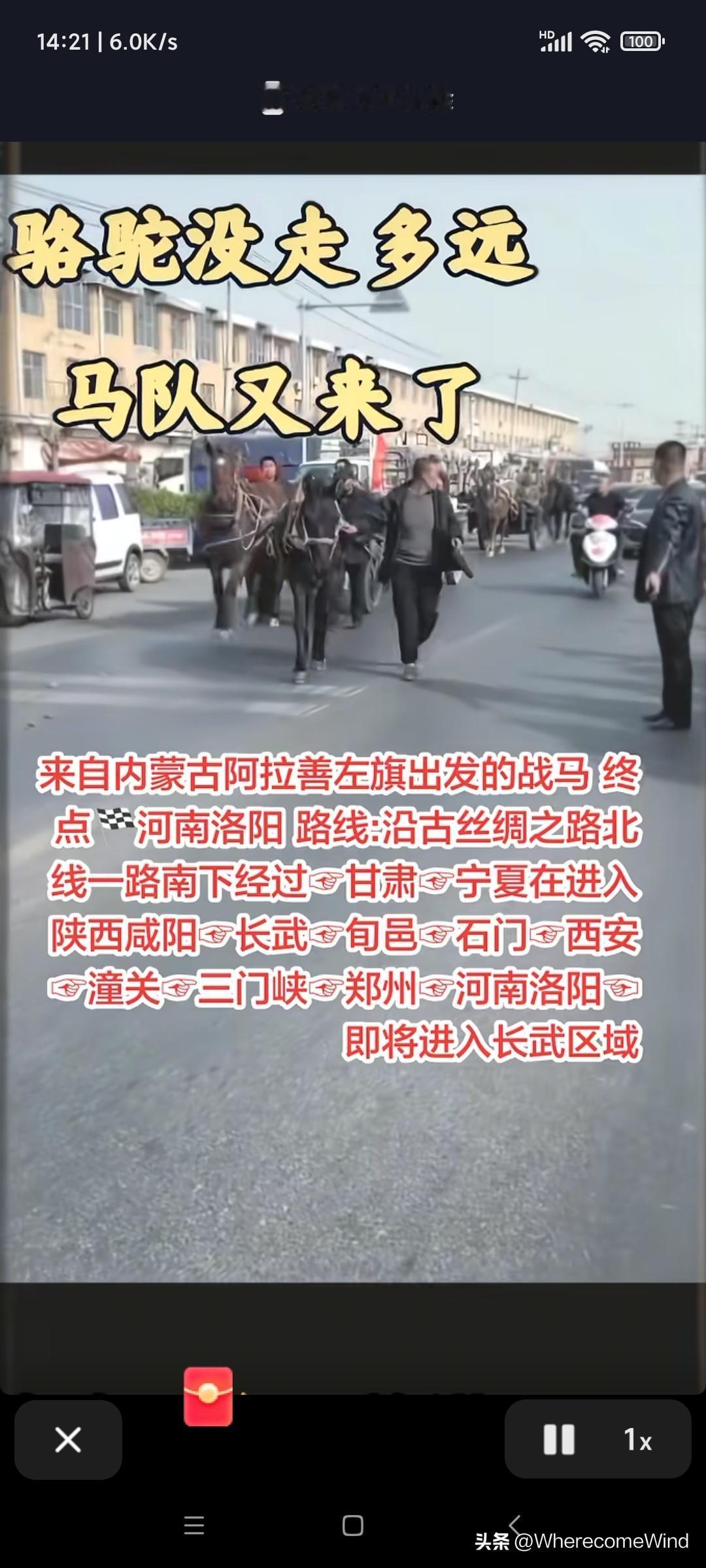 走了驼队来了马队，
丝绸之路正被消解！
东天山驼队与阿拉善马队的逐利本质辨析。