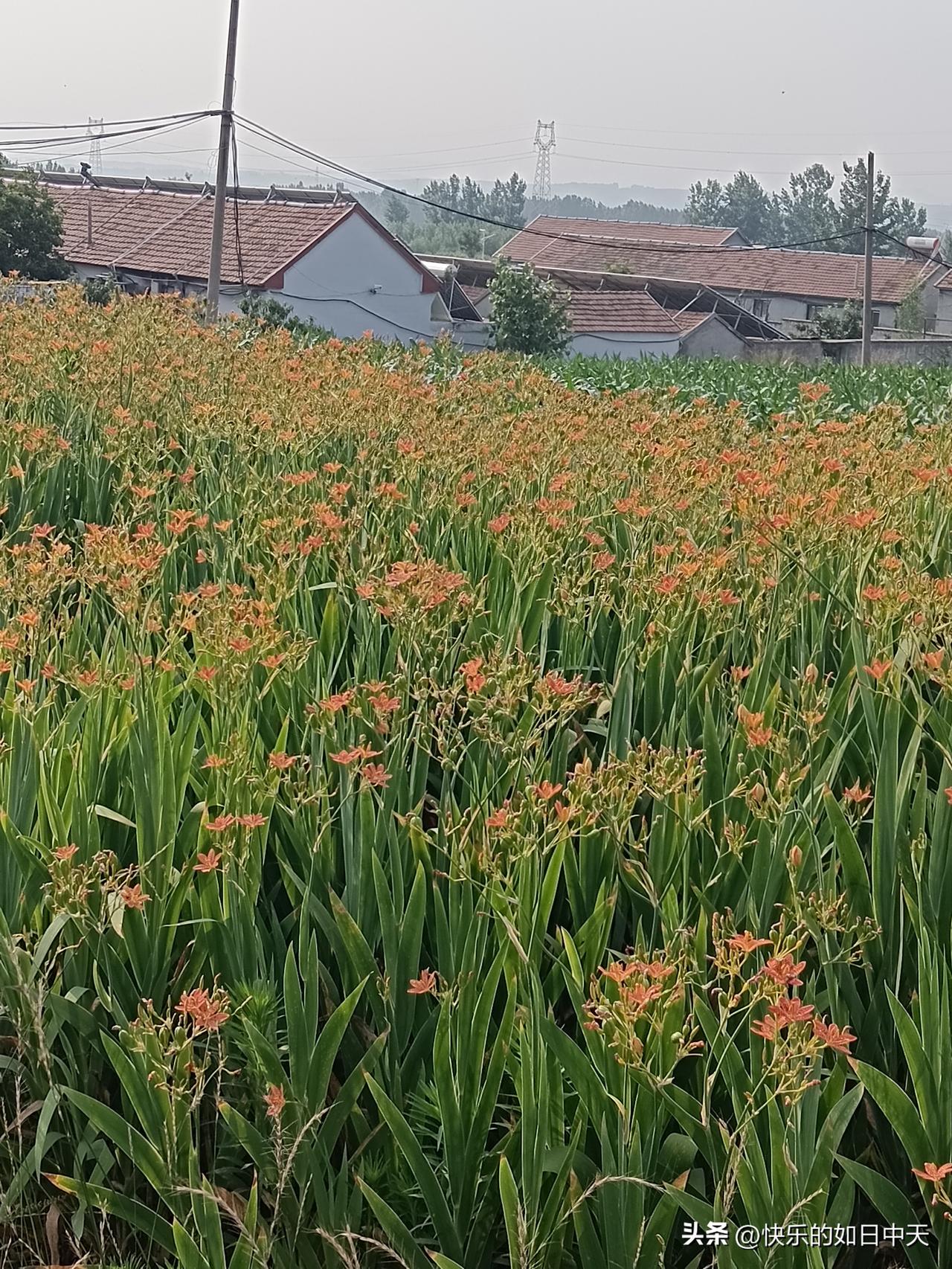 1. 不管住在哪儿，都要说这房子好
2. 和谁在一块儿，就说谁好
3. 上班的时