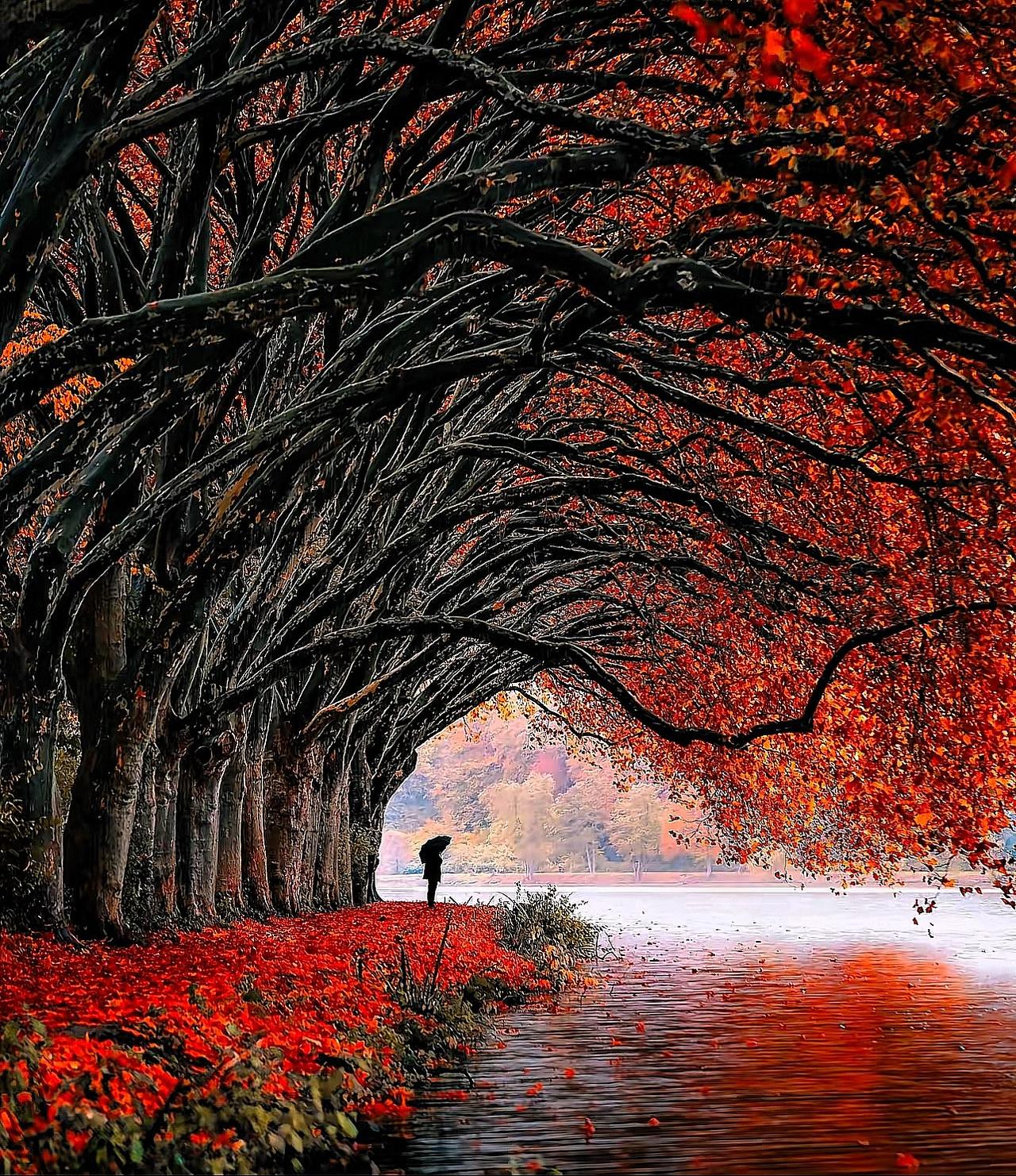 足浴小姐姐的一番话，戳中了多少成年人的无奈与清醒！

30多岁带着雀斑和鱼尾纹，