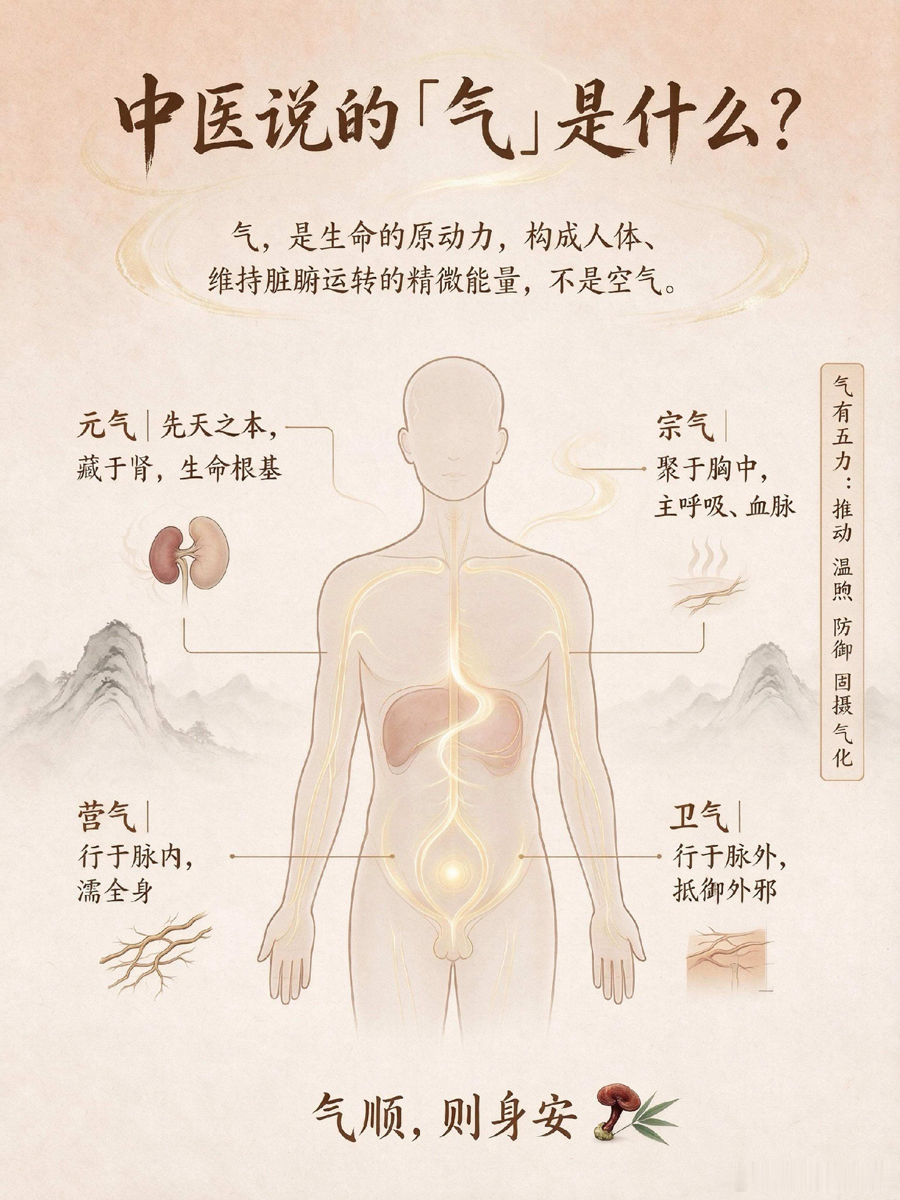「丙午年鼻炎截断法」每到换季，很多过敏性鼻炎就容易准时报到。大家常常以为鼻炎就只