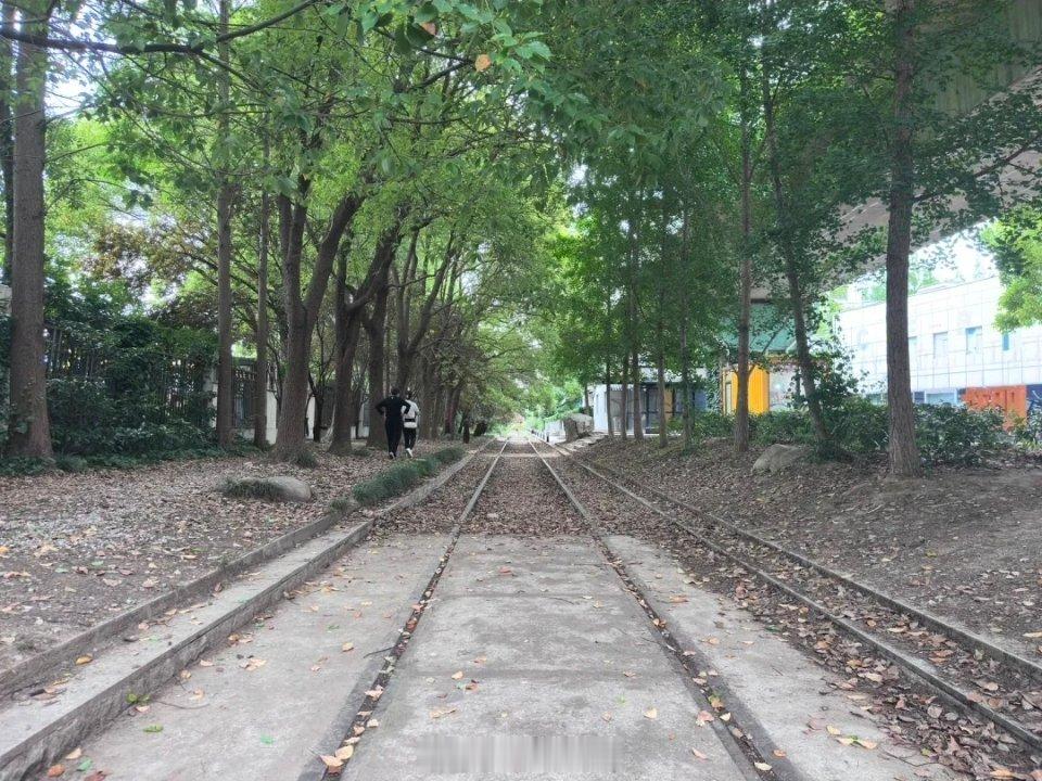 淞沪铁路淞沪铁路是中国首条投入商业运营的铁路，其始建于1876年。尽管有人认为它