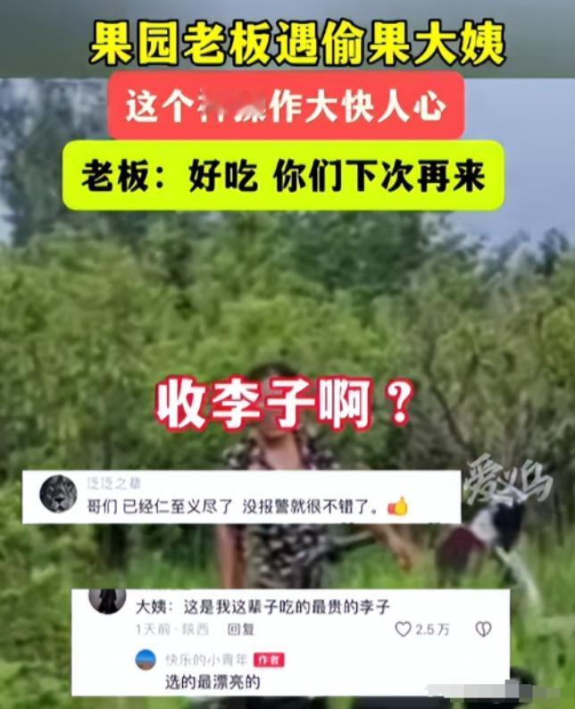 “把贼惯得再收网！”两位大妈去果园偷李子，被果农发现，但果农没有报警，反而笑眯眯