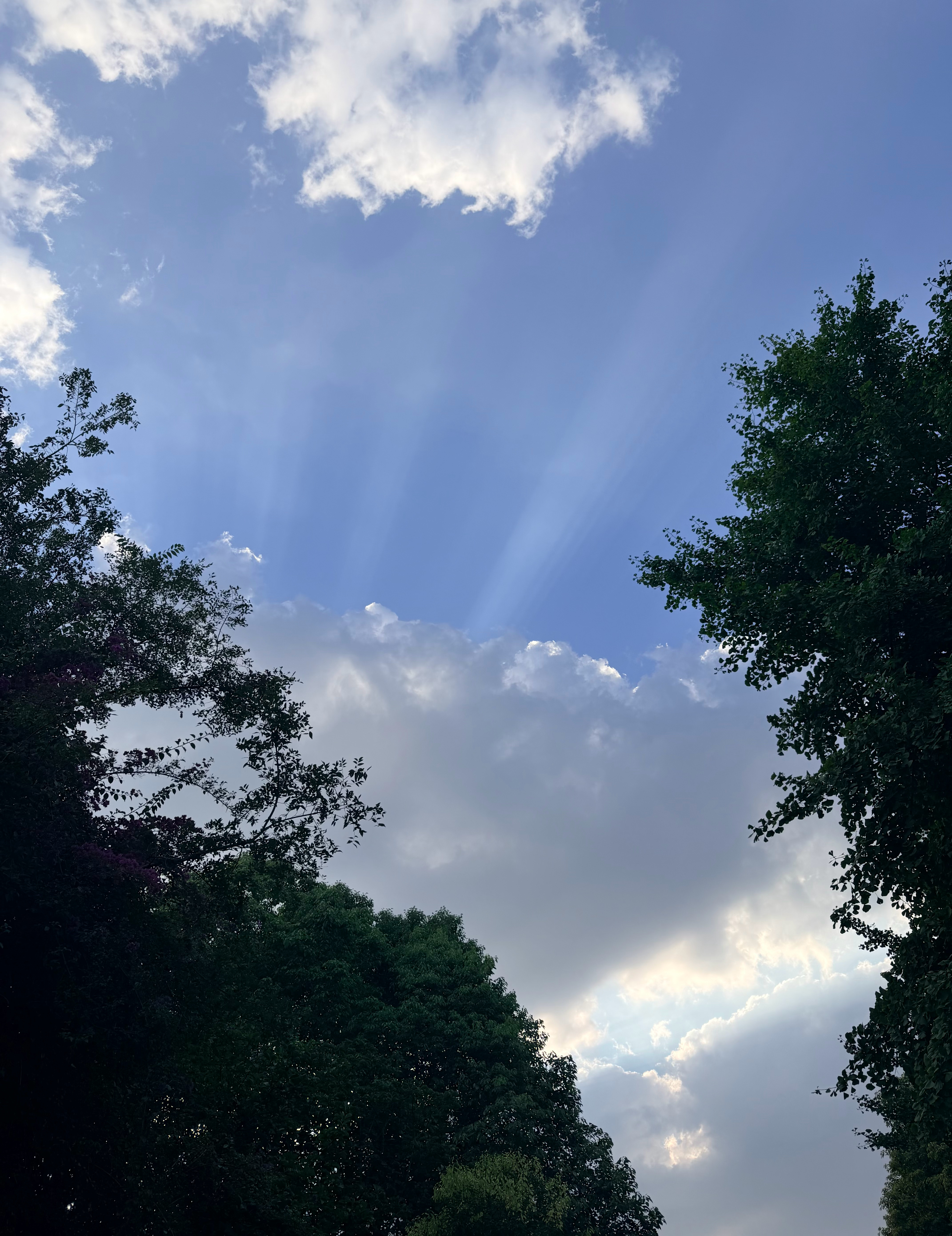 夏天还在继续 ​​​
