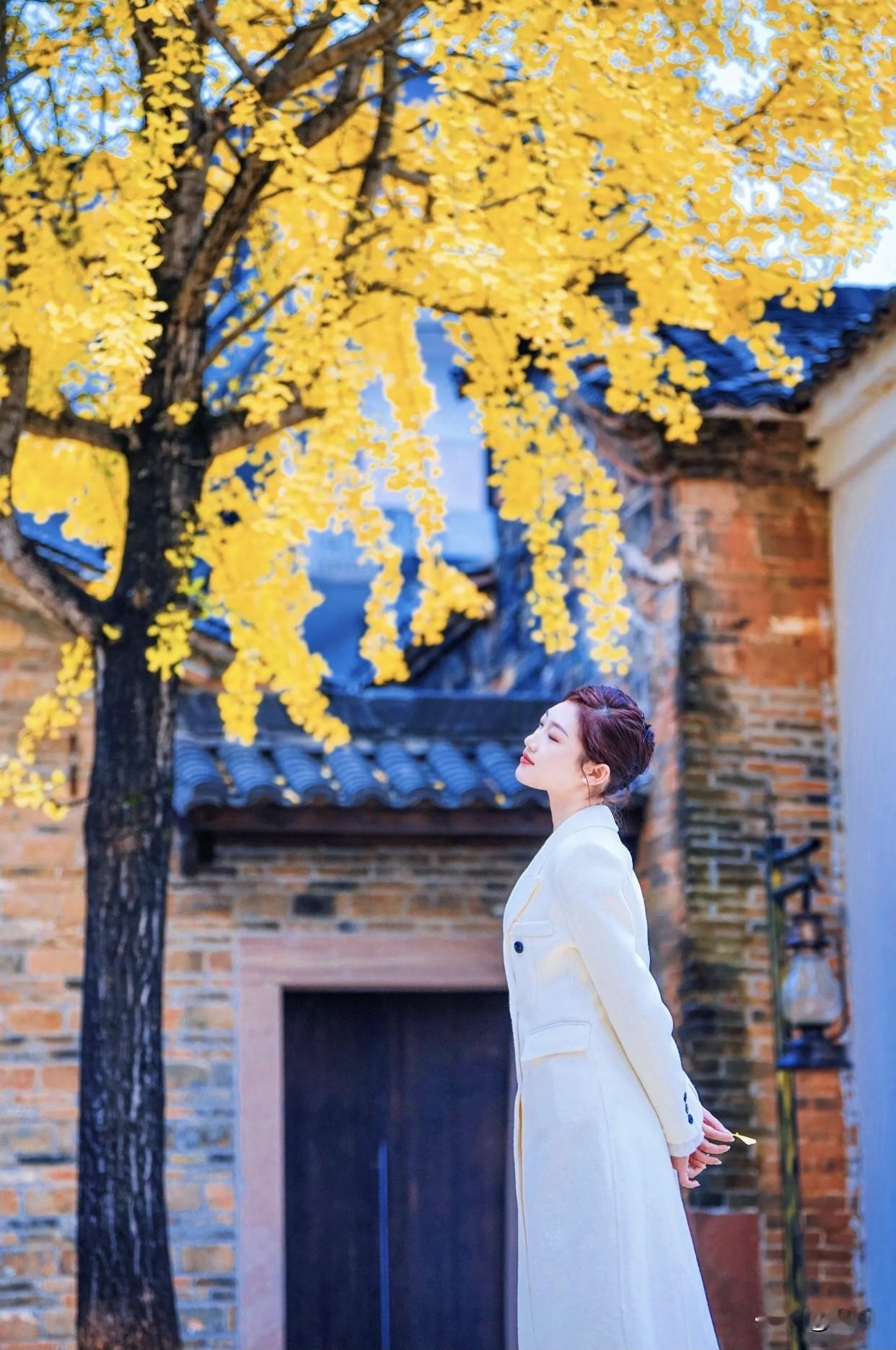 好看，舒适，休闲的穿搭是怎样的秋意渐浓，漫步在金黄的银杏树下，感受岁月静好。