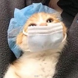 小花热聊职场
