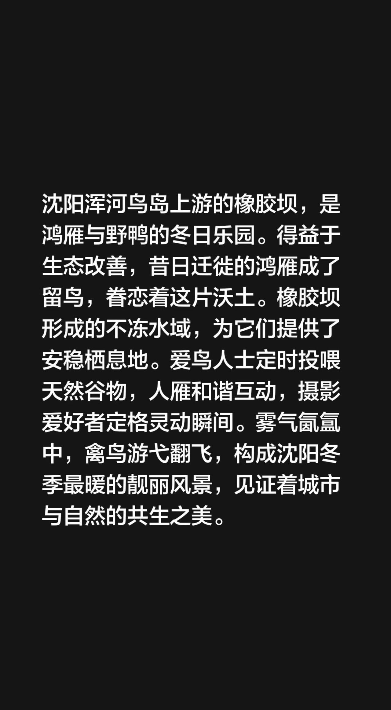 我评论了@盛京墨人 的作品：沈阳浑河鸟岛上游的橡胶坝，是鸿雁与野鸭的冬日乐园。得