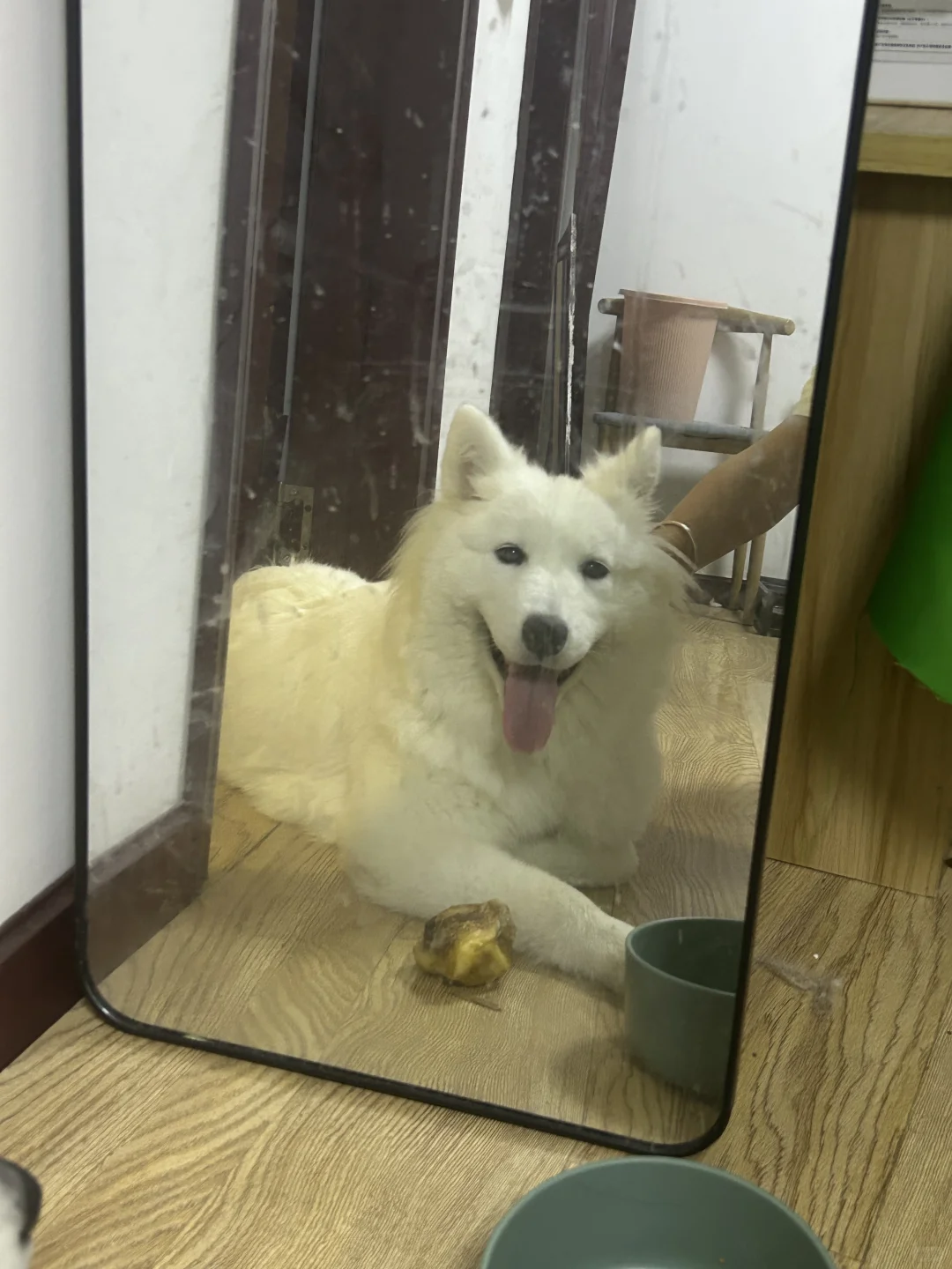 妈妈 你的镜子没有擦干净！