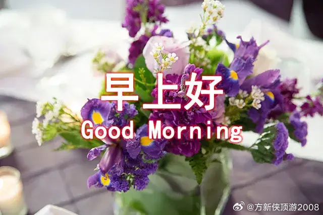 各位有缘的朋友，早上好，打卡点赞，好运常相伴！ 