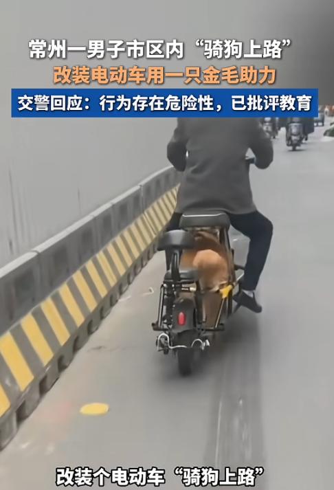 “还得是大爷！”3月16日，江苏常州，一大爷脑洞大开改装电动车，将电瓶位置挖空，