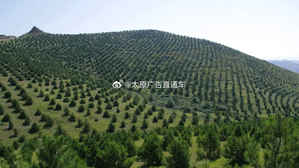 山西黄河流域生态保护攻坚观察   近年来，山西深入实施“一泓清水入黄河”生态保护