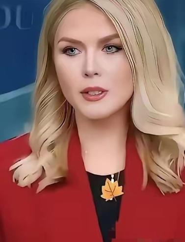 美国白宫宣布
 
2026年3月31日，美国白宫新闻秘书莱维特宣布了一个重要消息