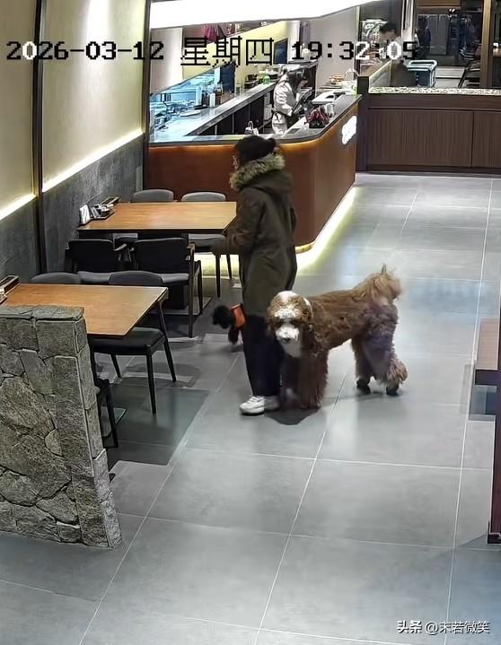 你爱你的狗，不是所有人都爱你的狗！3月12日，一女子带着自己的两只爱犬进店就餐，