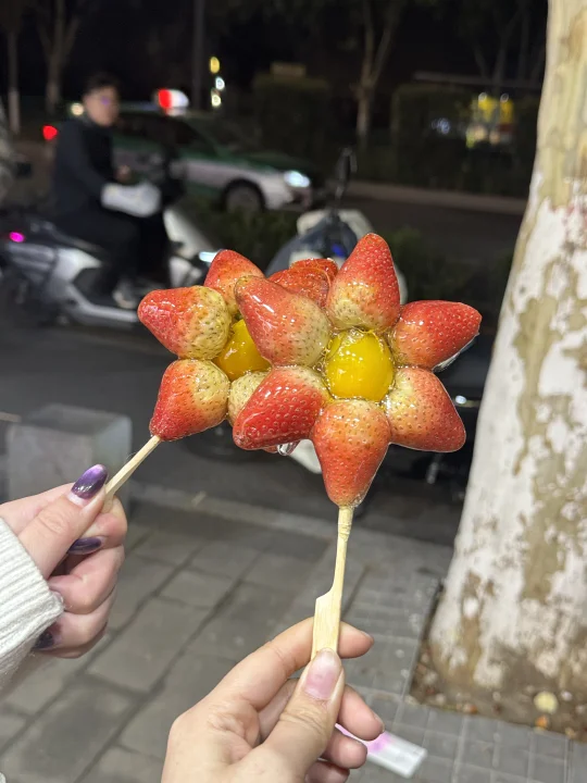 真的太好玩了‼️