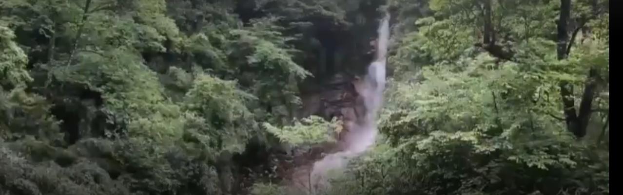 守护生灵家园：中国自然保护地体系的生态答卷
 
从雪域高原到湿地湖泊，从莽莽林海