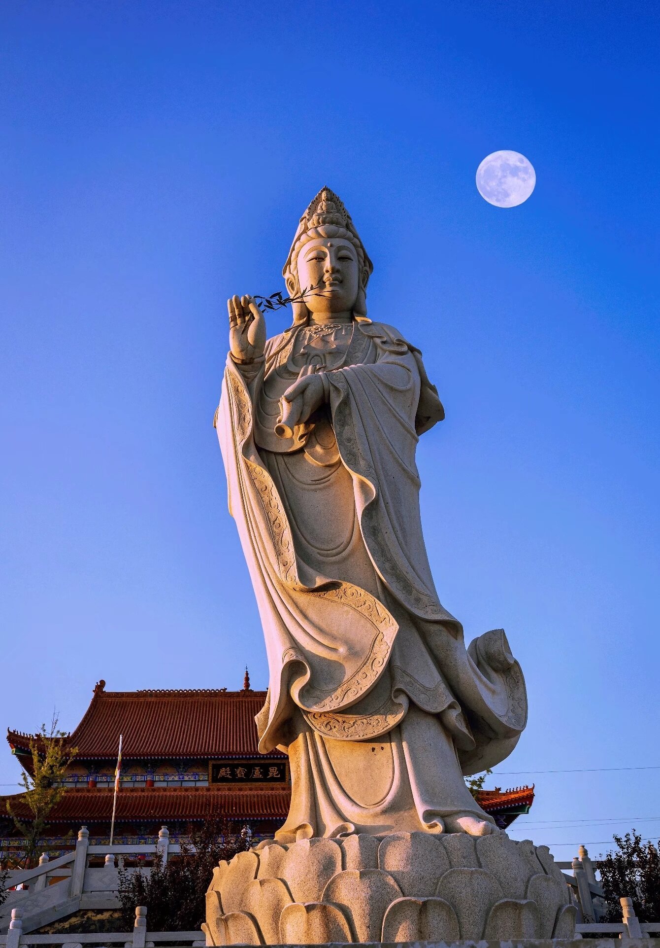 今天是2026年10月28日。农历九月十九，恭迎观世音菩萨出家纪念日！南無大慈大