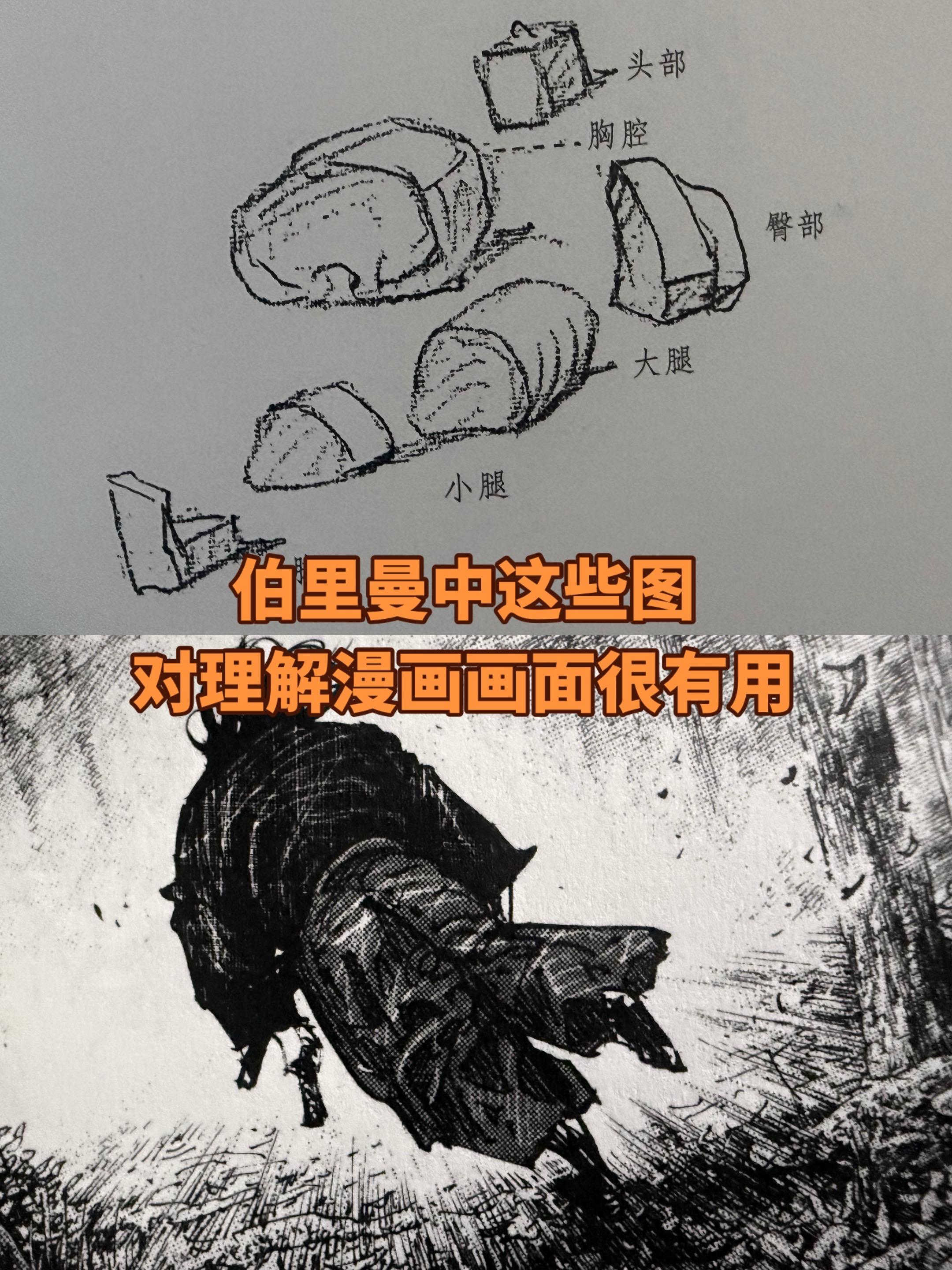 来来回回我就是看这几部漫画。这几部漫画也发了好几年，但是我依旧认为很多...