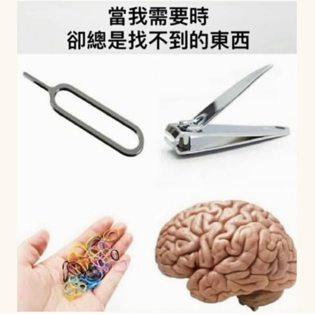 都搁哪儿去了#meme# ​​​