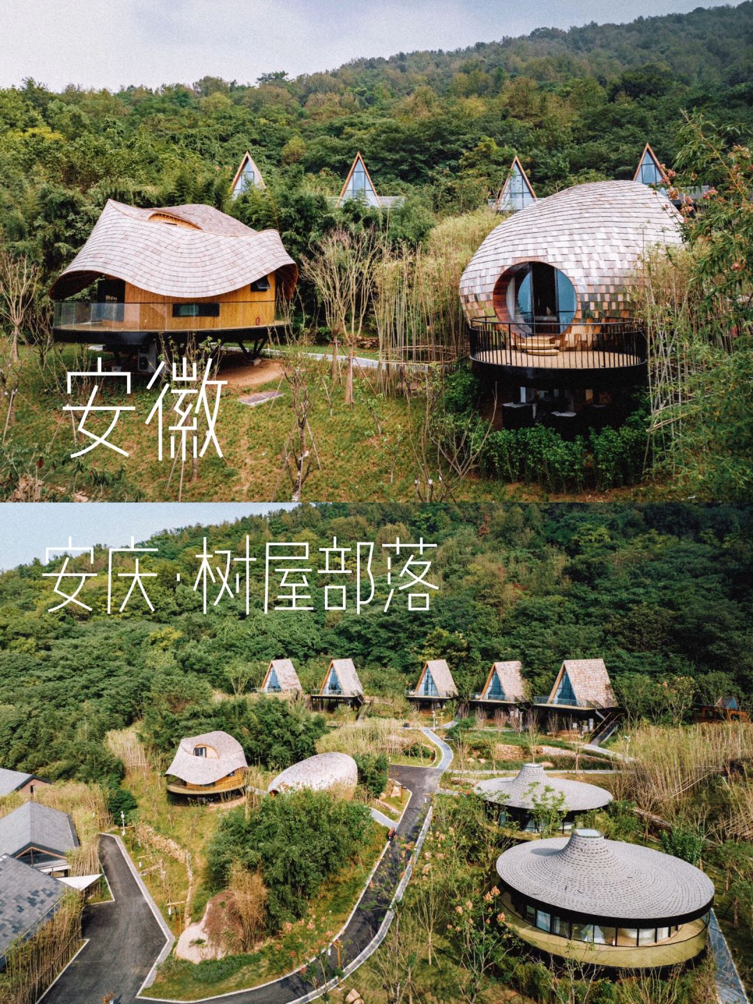 安徽亲子民宿！藏在安庆菜子湖畔的候鸟星球