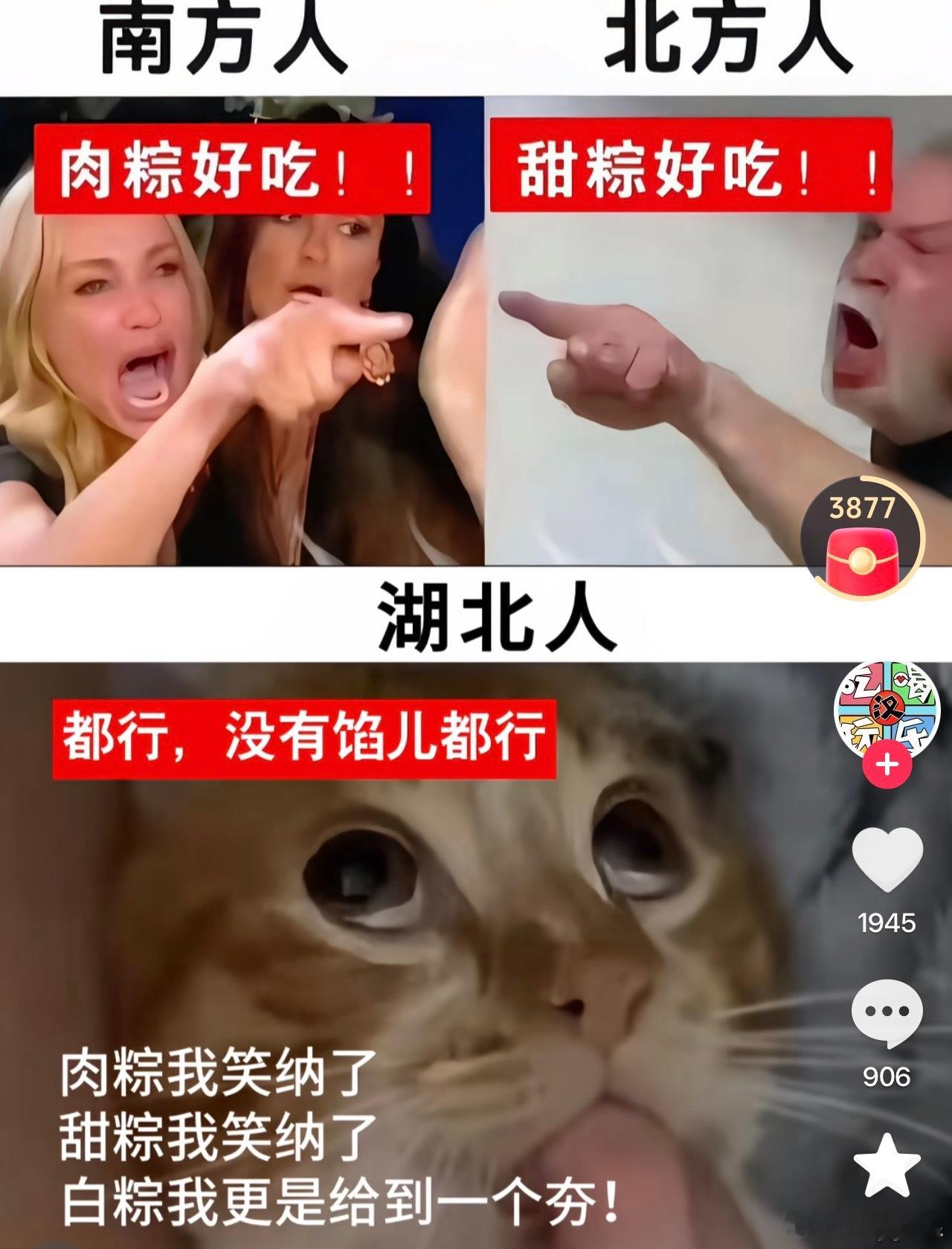 小时候肉粽甜粽都吃，吃的最多的还是白粽蘸白糖现在最喜欢吃肉粽 