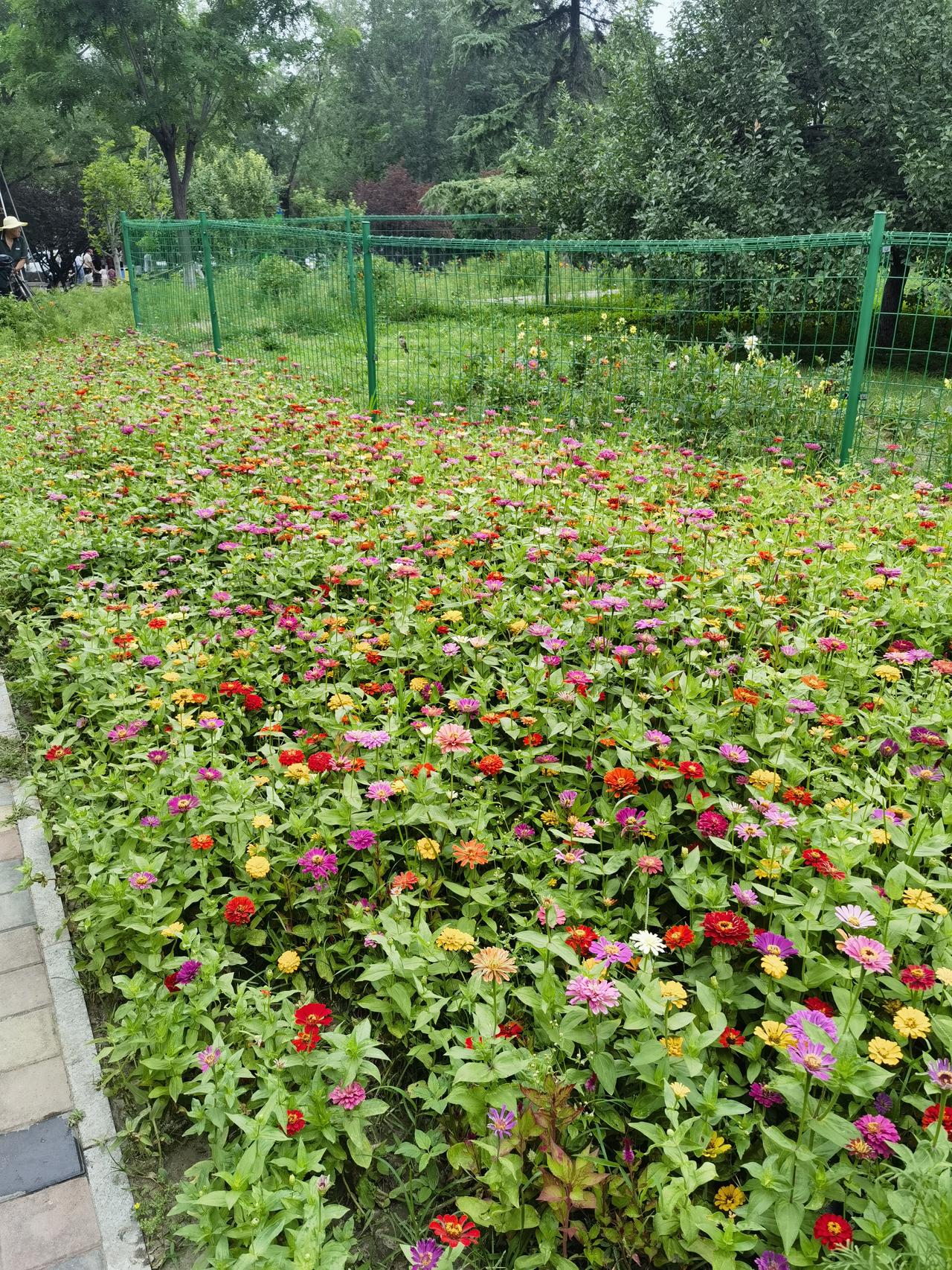 午盘印象(3月31日) 程序化卖出 AI硬件补跌 

外围：又闹升级 美股大跌 