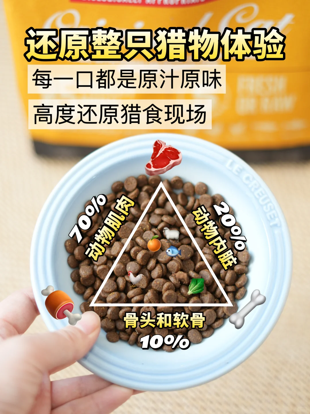 高质量养猫，双十一每件都可以闭眼冲