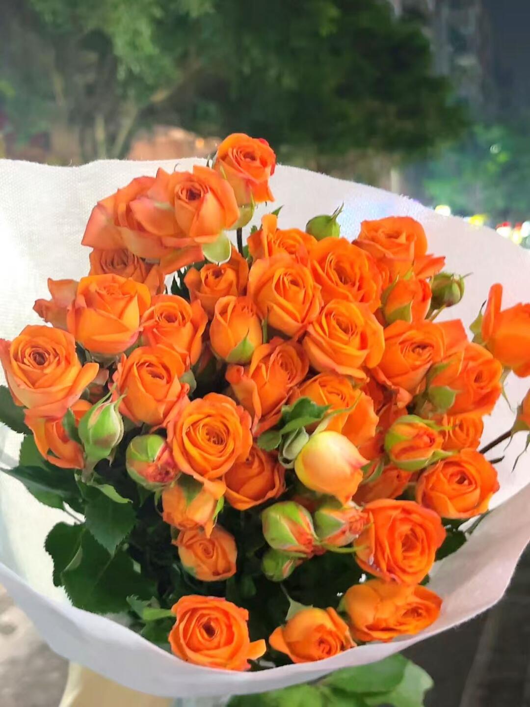 橘子味的夏天🍊橘梗花束