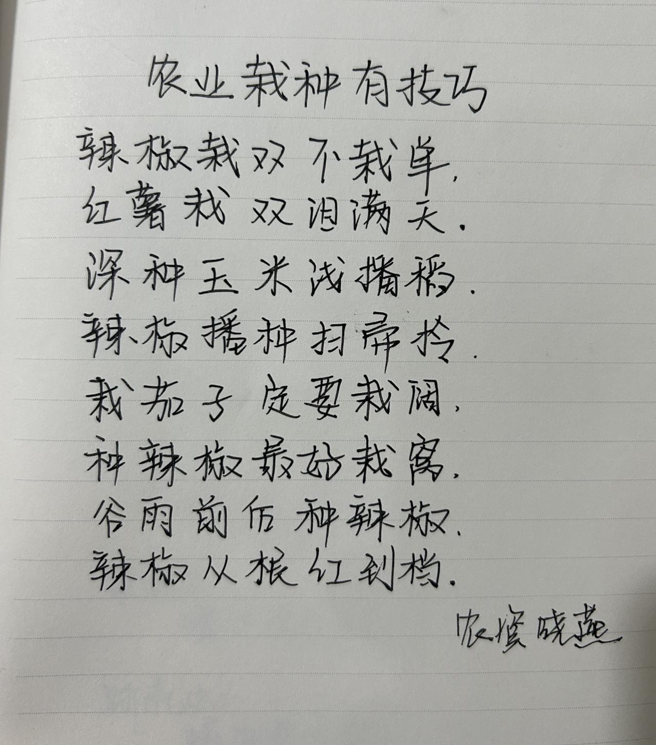 农业栽种有技巧农业种植 种植小技巧 新农人计划