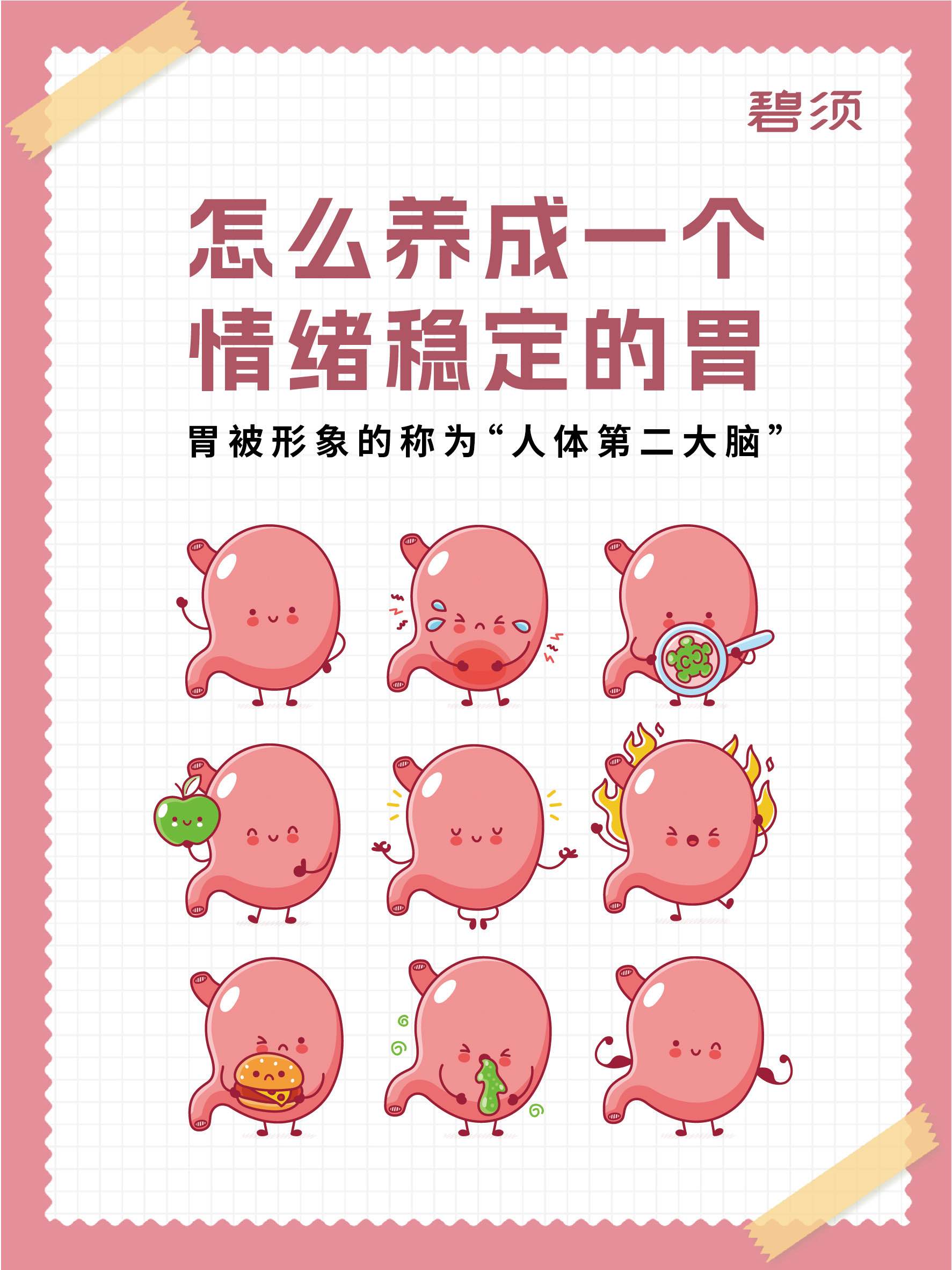 养成一个情绪稳定的胃。
