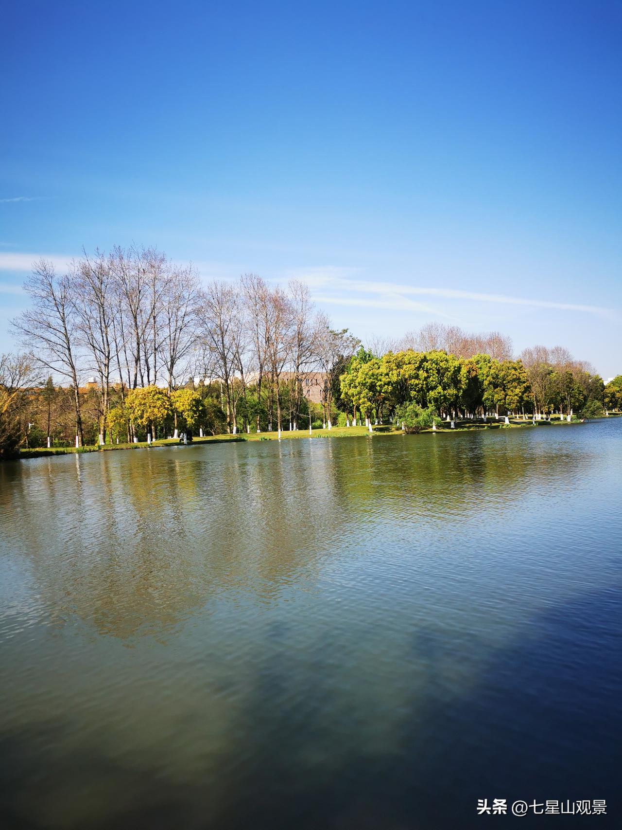 治愈系风景分享