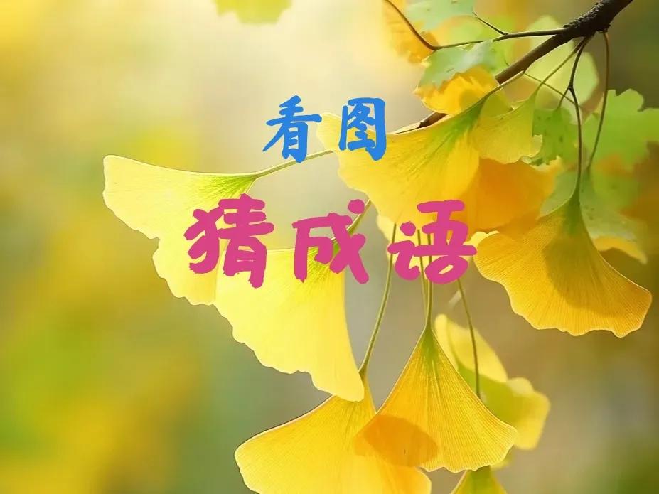 根据下面的文字描述，猜谜语！ 
1.衣帽全是黑，上下一锭墨；到处喊娃娃，不知叫的