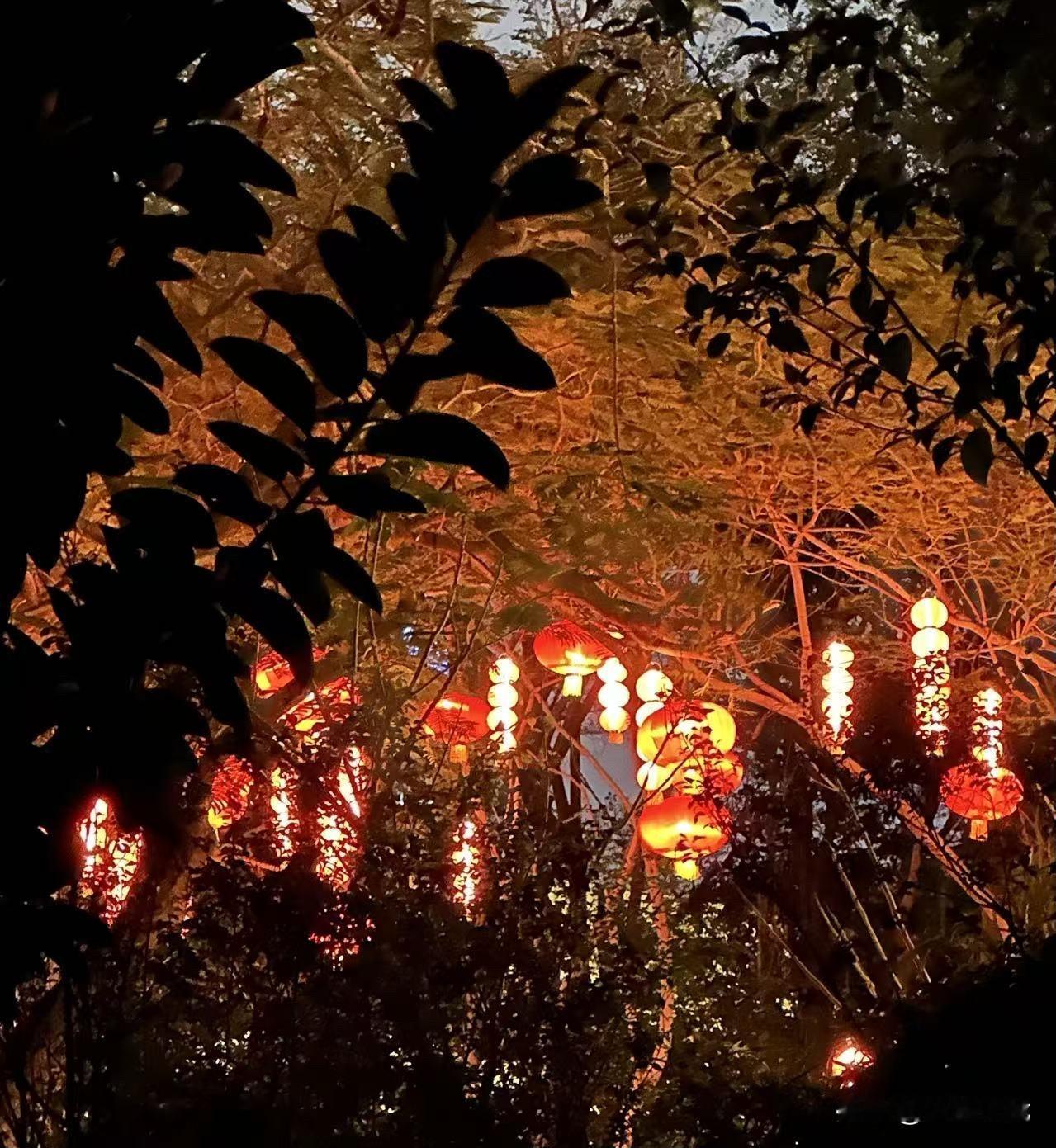 分享一张最近随手拍的照片红火